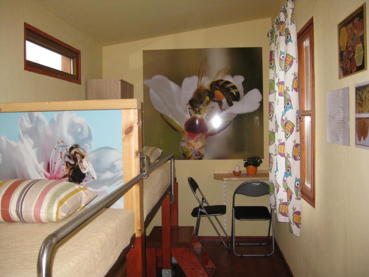 Apartmany Vcelka Hranice u Novych Hradu ภายนอก รูปภาพ